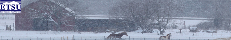 ETSU in the Winter Time