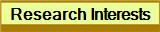 Research Interests