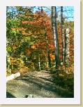fall01 * 480 x 640 * (160KB)