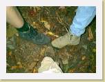 fall04 * 640 x 480 * (48KB)