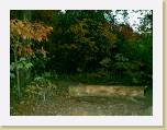fall14 * 640 x 480 * (48KB)