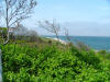 View at Vineyard Haven