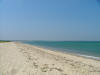 Oak Bluff Beach