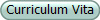 Curriculum Vita