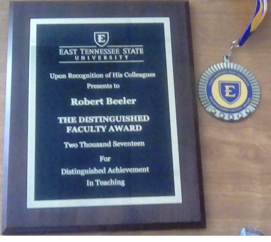 Distinguished Faculty award