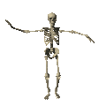 an animation of a dancing skeleton