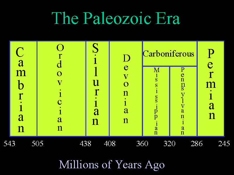 Cenozoic Era Timeline