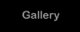 Click to go to the Gallery