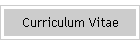 Curriculum Vitae