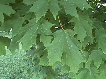 www.agro.ir2.ir