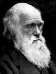 http://www.lucidcafe.com/library/images/96feb/darwin.gif