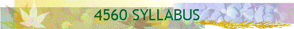 4560 SYLLABUS