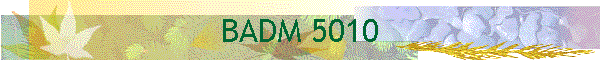 BADM 5010