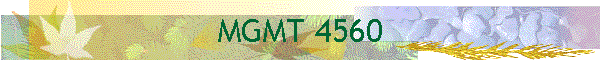 MGMT 4560